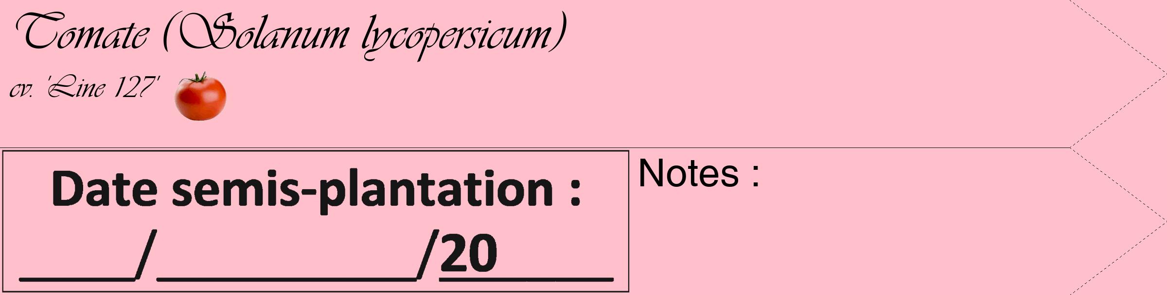 Étiquette de : Solanum lycopersicum cv. 'Line 127' - format c - style noire40_simple_simpleviv avec comestibilité simplifiée