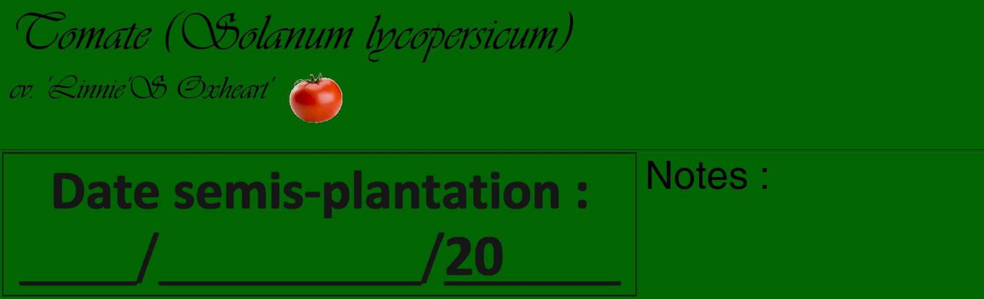 Étiquette de : Solanum lycopersicum cv. 'Linnie'S Oxheart' - format c - style noire8_basique_basiqueviv avec comestibilité simplifiée