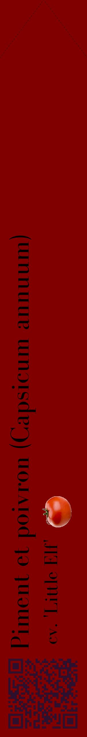 Étiquette de : Capsicum annuum cv. 'Little Elf' - format c - style noire29_simplebod avec qrcode et comestibilité simplifiée