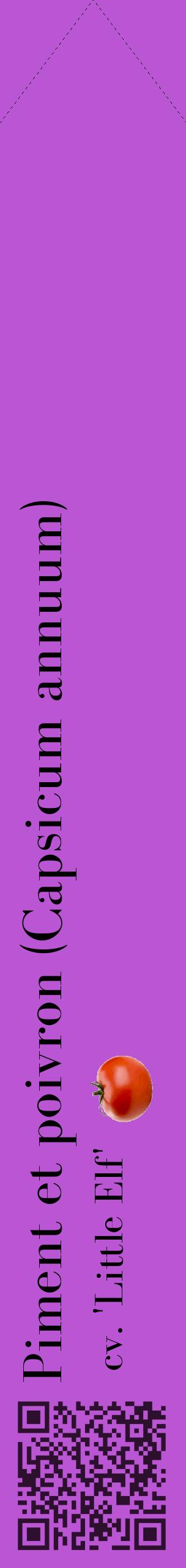 Étiquette de : Capsicum annuum cv. 'Little Elf' - format c - style noire50_simplebod avec qrcode et comestibilité simplifiée