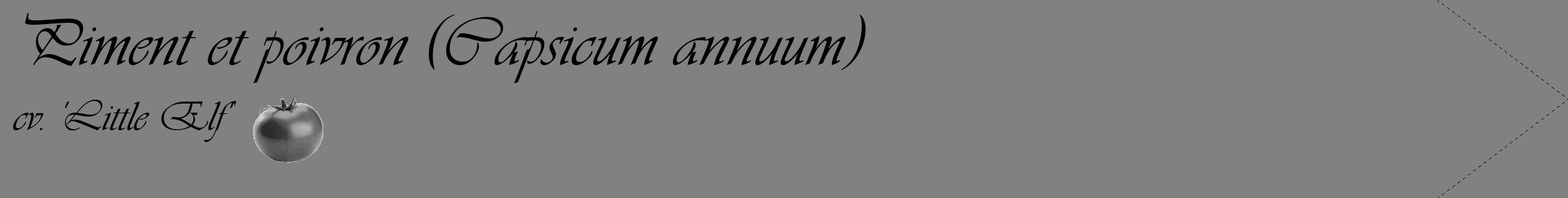 Étiquette de : Capsicum annuum cv. 'Little Elf' - format c - style noire50_simple_simpleviv avec comestibilité simplifiée