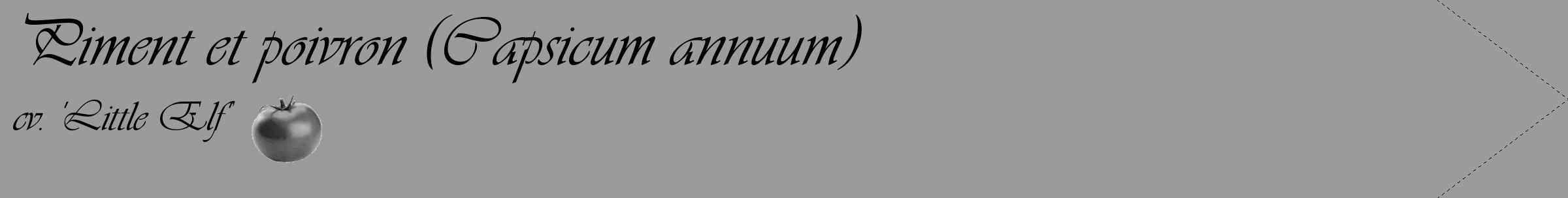 Étiquette de : Capsicum annuum cv. 'Little Elf' - format c - style noire52_simple_simpleviv avec comestibilité simplifiée