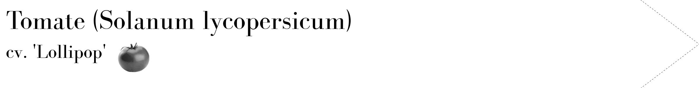 Étiquette de : Solanum lycopersicum cv. 'Lollipop' - format c - style noire60_simple_simplebod avec comestibilité simplifiée