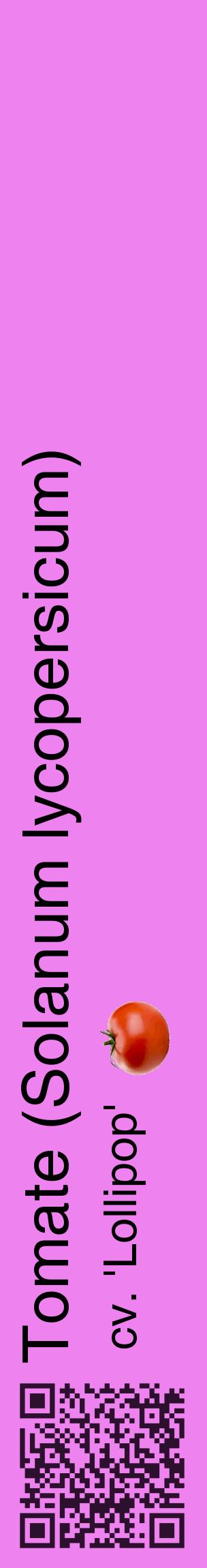 Étiquette de : Solanum lycopersicum cv. 'Lollipop' - format c - style noire53_basiquehel avec qrcode et comestibilité simplifiée