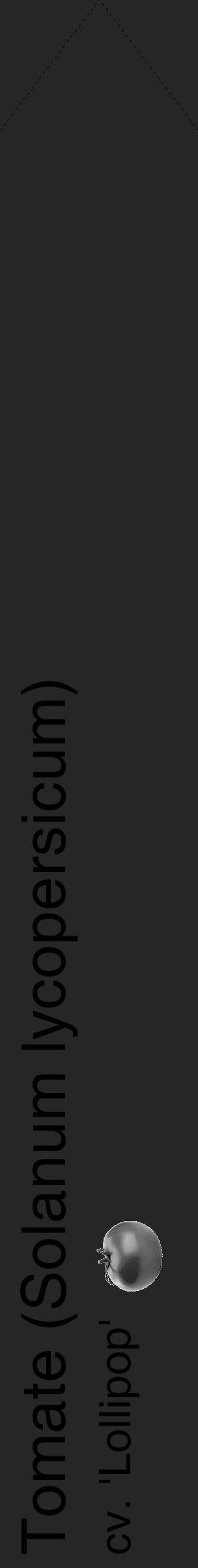 Étiquette de : Solanum lycopersicum cv. 'Lollipop' - format c - style noire29_simple_simplehel avec comestibilité simplifiée - position verticale