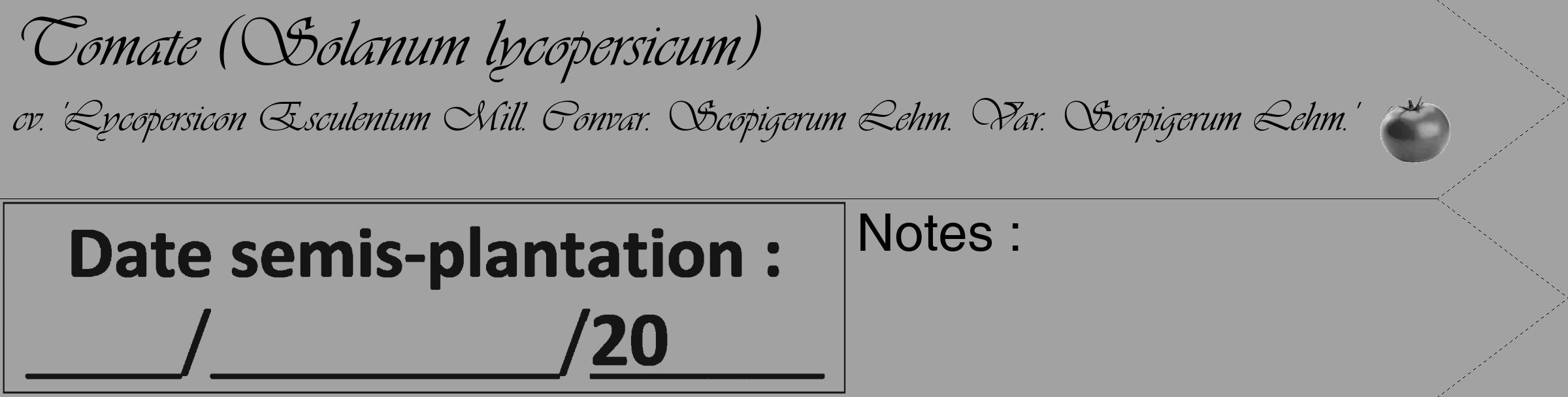 Étiquette de : Solanum lycopersicum cv. 'Lycopersicon Esculentum Mill. Convar. Scopigerum Lehm. Var. Scopigerum Lehm.' - format c - style noire38_simple_simpleviv avec comestibilité simplifiée