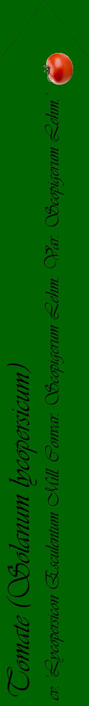 Étiquette de : Solanum lycopersicum cv. 'Lycopersicon Esculentum Mill. Convar. Scopigerum Lehm. Var. Scopigerum Lehm.' - format c - style noire8_simpleviv avec comestibilité simplifiée