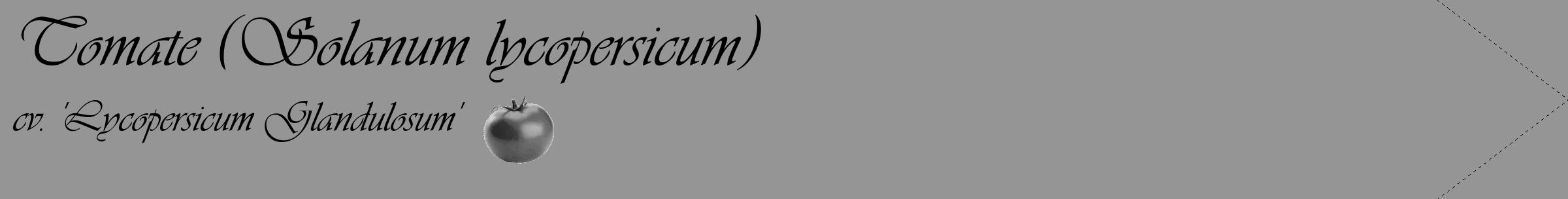 Étiquette de : Solanum lycopersicum cv. 'Lycopersicum Glandulosum' - format c - style noire16_simple_simpleviv avec comestibilité simplifiée