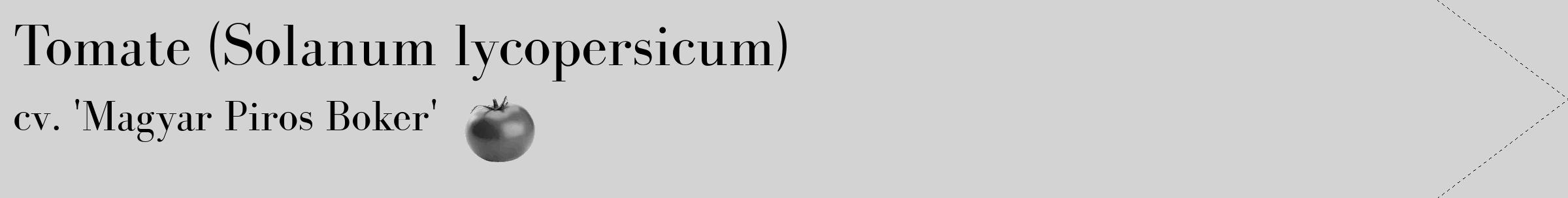 Étiquette de : Solanum lycopersicum cv. 'Magyar Piros Boker' - format c - style noire56_simple_simplebod avec comestibilité simplifiée