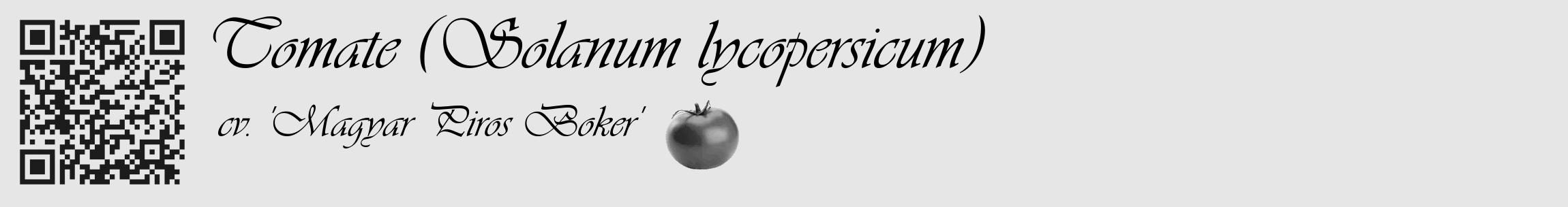 Étiquette de : Solanum lycopersicum cv. 'Magyar Piros Boker' - format c - style noire18_basique_basiqueviv avec qrcode et comestibilité simplifiée