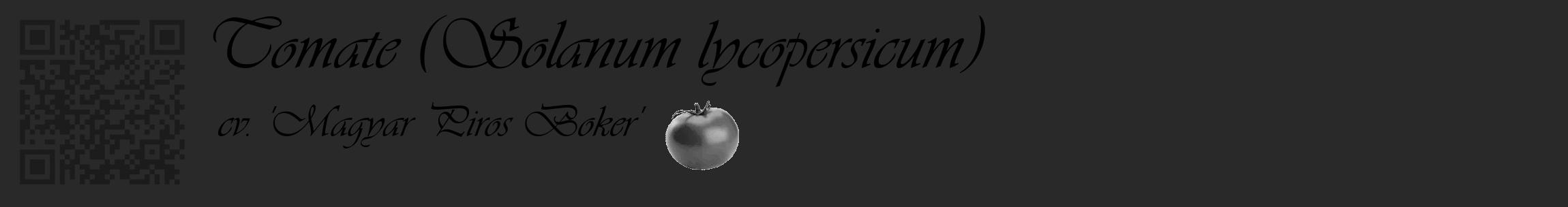 Étiquette de : Solanum lycopersicum cv. 'Magyar Piros Boker' - format c - style noire34_basique_basiqueviv avec qrcode et comestibilité simplifiée