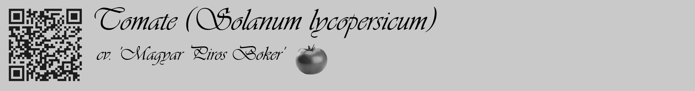 Étiquette de : Solanum lycopersicum cv. 'Magyar Piros Boker' - format c - style noire54_basique_basiqueviv avec qrcode et comestibilité simplifiée