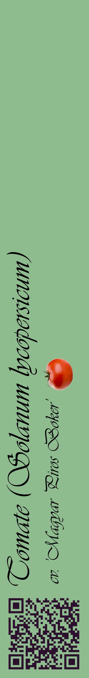 Étiquette de : Solanum lycopersicum cv. 'Magyar Piros Boker' - format c - style noire13_basiqueviv avec qrcode et comestibilité simplifiée