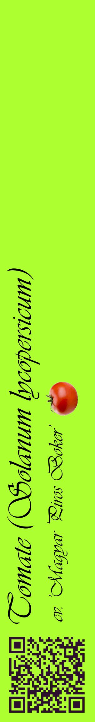 Étiquette de : Solanum lycopersicum cv. 'Magyar Piros Boker' - format c - style noire17_basiqueviv avec qrcode et comestibilité simplifiée
