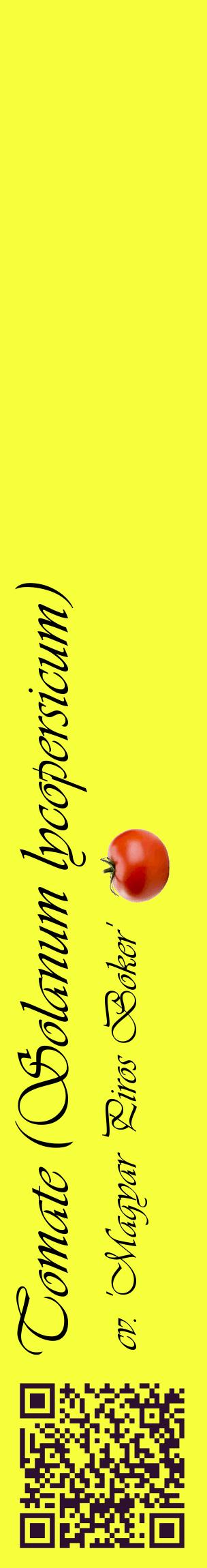 Étiquette de : Solanum lycopersicum cv. 'Magyar Piros Boker' - format c - style noire18_basiqueviv avec qrcode et comestibilité simplifiée