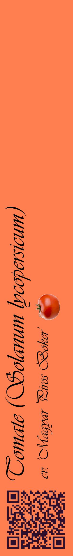 Étiquette de : Solanum lycopersicum cv. 'Magyar Piros Boker' - format c - style noire24_basiqueviv avec qrcode et comestibilité simplifiée