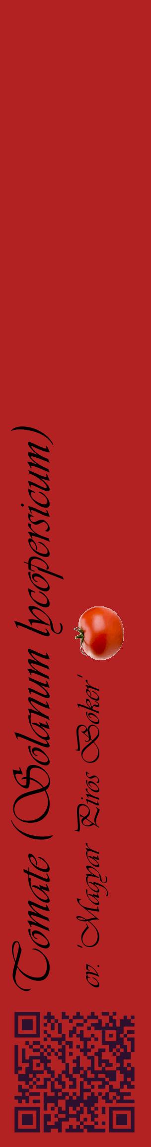 Étiquette de : Solanum lycopersicum cv. 'Magyar Piros Boker' - format c - style noire28_basiqueviv avec qrcode et comestibilité simplifiée