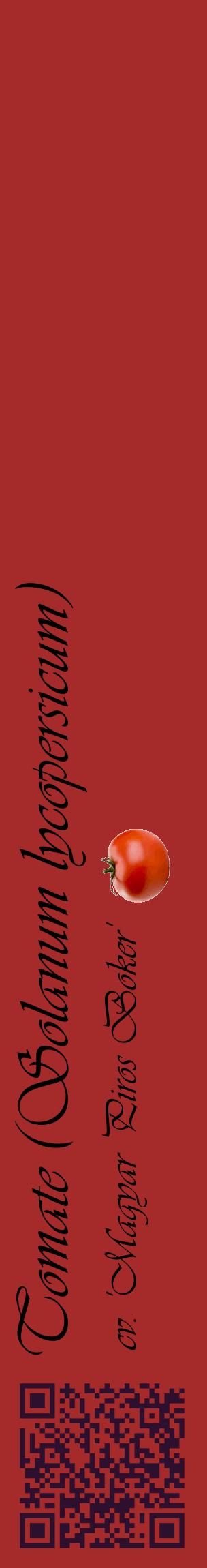 Étiquette de : Solanum lycopersicum cv. 'Magyar Piros Boker' - format c - style noire33_basiqueviv avec qrcode et comestibilité simplifiée