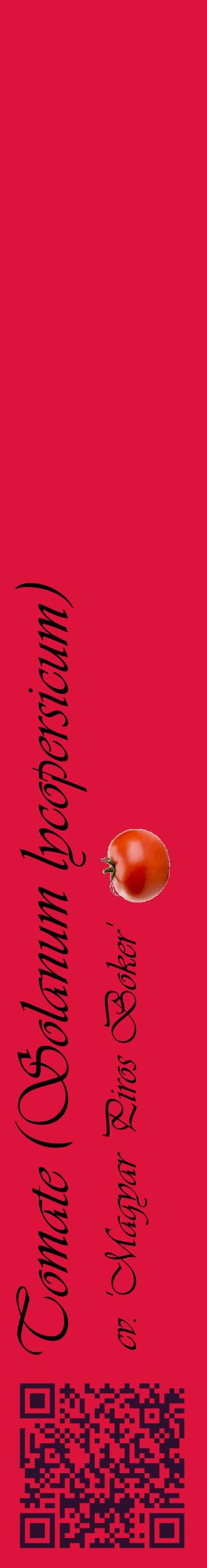 Étiquette de : Solanum lycopersicum cv. 'Magyar Piros Boker' - format c - style noire36_basiqueviv avec qrcode et comestibilité simplifiée