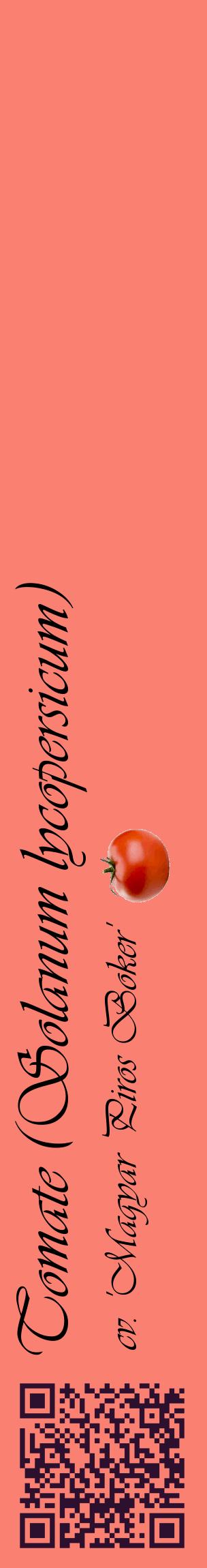 Étiquette de : Solanum lycopersicum cv. 'Magyar Piros Boker' - format c - style noire38_basiqueviv avec qrcode et comestibilité simplifiée