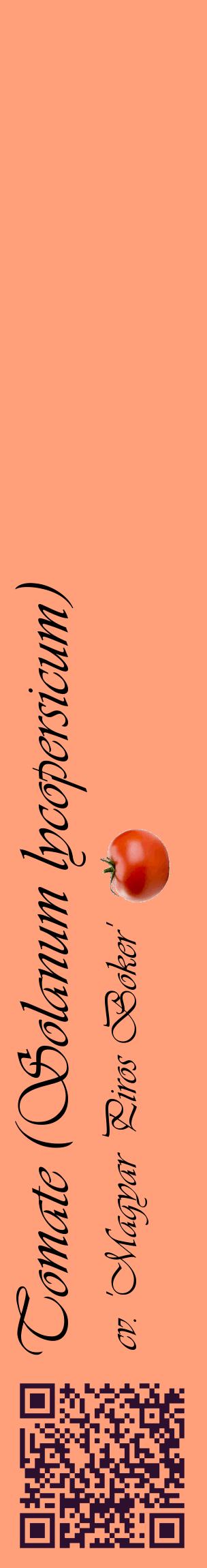 Étiquette de : Solanum lycopersicum cv. 'Magyar Piros Boker' - format c - style noire39_basiqueviv avec qrcode et comestibilité simplifiée