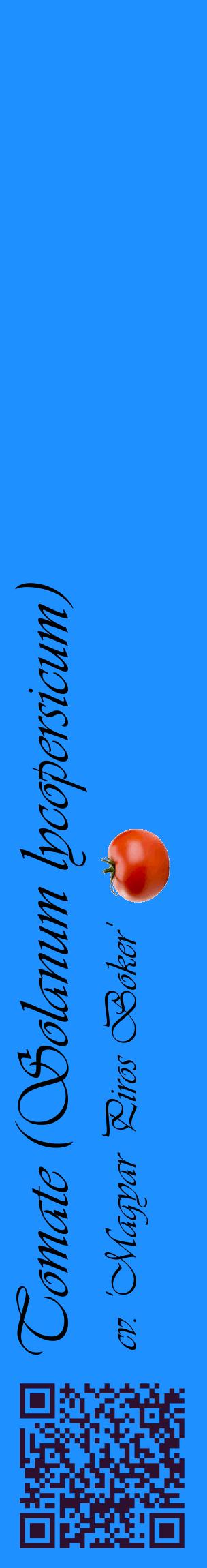 Étiquette de : Solanum lycopersicum cv. 'Magyar Piros Boker' - format c - style noire3_basiqueviv avec qrcode et comestibilité simplifiée