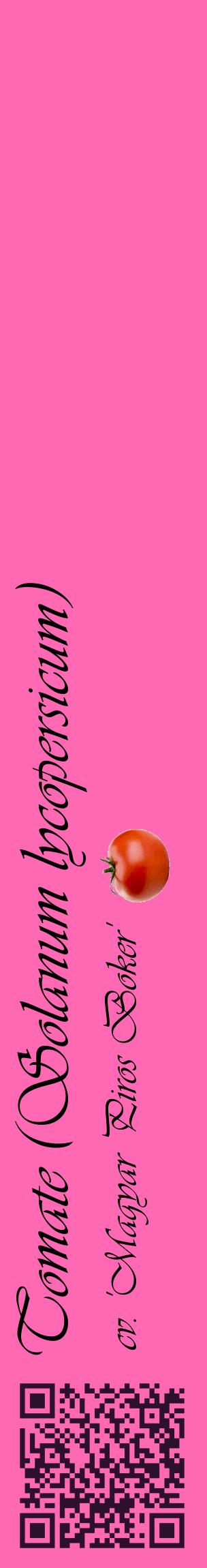 Étiquette de : Solanum lycopersicum cv. 'Magyar Piros Boker' - format c - style noire42_basiqueviv avec qrcode et comestibilité simplifiée