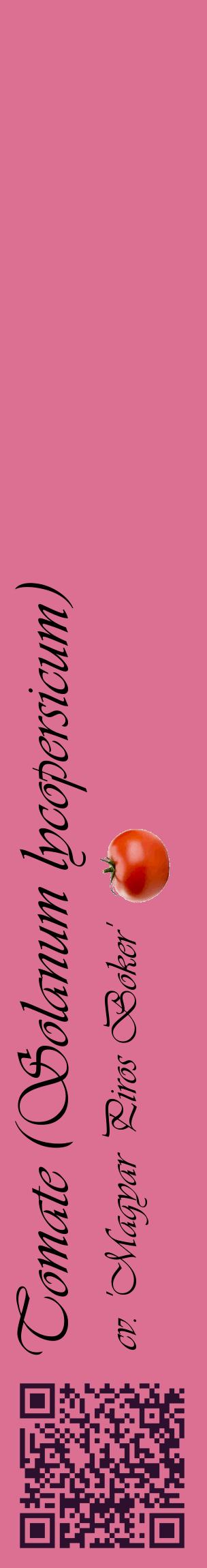 Étiquette de : Solanum lycopersicum cv. 'Magyar Piros Boker' - format c - style noire44_basiqueviv avec qrcode et comestibilité simplifiée