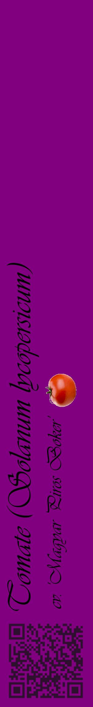 Étiquette de : Solanum lycopersicum cv. 'Magyar Piros Boker' - format c - style noire46_basiqueviv avec qrcode et comestibilité simplifiée