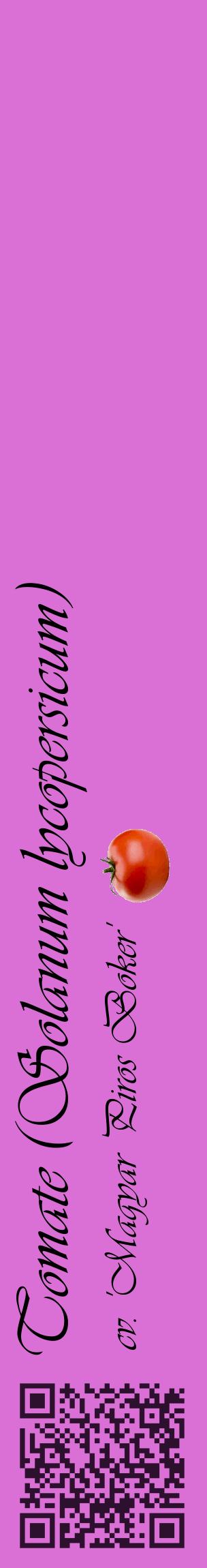Étiquette de : Solanum lycopersicum cv. 'Magyar Piros Boker' - format c - style noire52_basiqueviv avec qrcode et comestibilité simplifiée