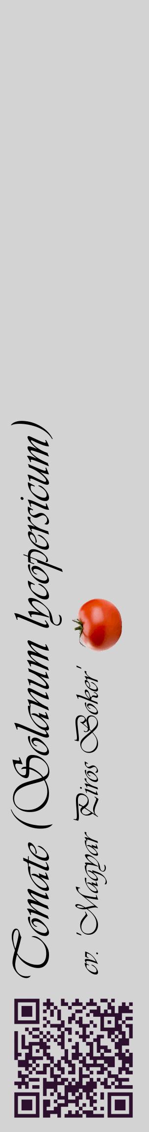 Étiquette de : Solanum lycopersicum cv. 'Magyar Piros Boker' - format c - style noire56_basiqueviv avec qrcode et comestibilité simplifiée