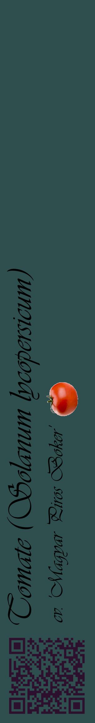 Étiquette de : Solanum lycopersicum cv. 'Magyar Piros Boker' - format c - style noire58_basiqueviv avec qrcode et comestibilité simplifiée