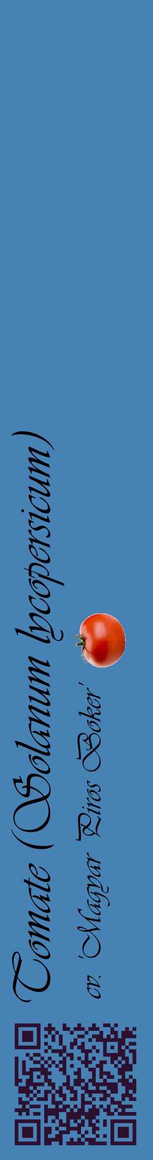 Étiquette de : Solanum lycopersicum cv. 'Magyar Piros Boker' - format c - style noire5_basiqueviv avec qrcode et comestibilité simplifiée