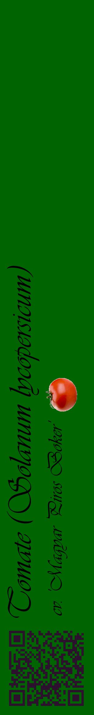 Étiquette de : Solanum lycopersicum cv. 'Magyar Piros Boker' - format c - style noire8_basiqueviv avec qrcode et comestibilité simplifiée