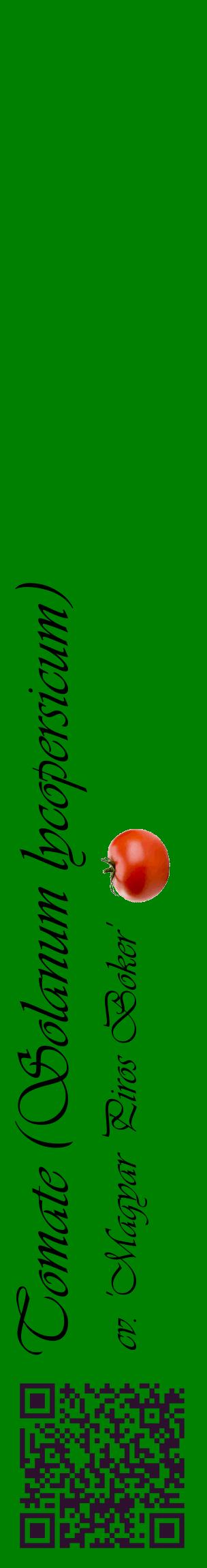 Étiquette de : Solanum lycopersicum cv. 'Magyar Piros Boker' - format c - style noire9_basiqueviv avec qrcode et comestibilité simplifiée