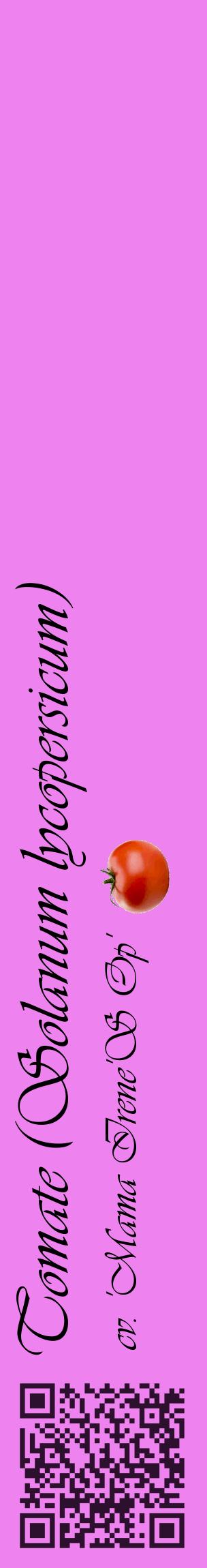 Étiquette de : Solanum lycopersicum cv. 'Mama Irene'S Op' - format c - style noire53_basiqueviv avec qrcode et comestibilité simplifiée