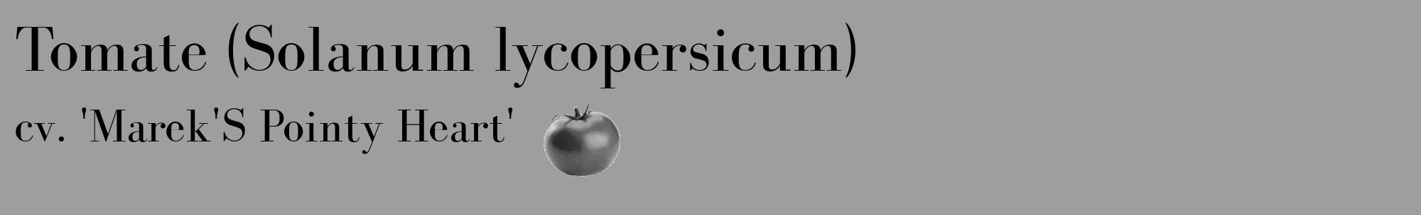 Étiquette de : Solanum lycopersicum cv. 'Marek'S Pointy Heart' - format c - style noire23_basique_basiquebod avec comestibilité simplifiée