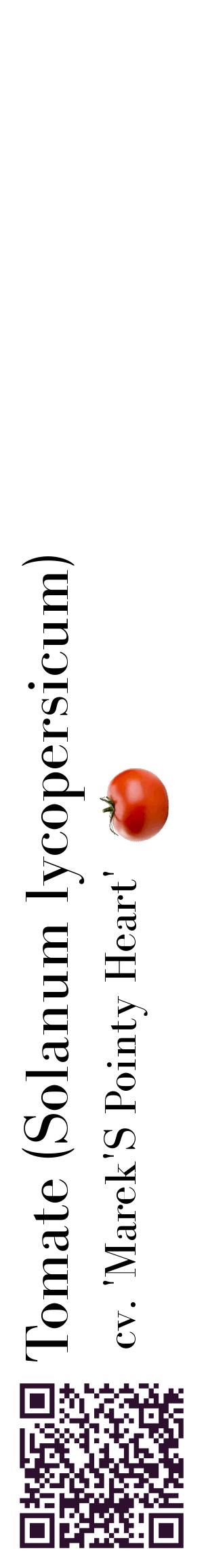 Étiquette de : Solanum lycopersicum cv. 'Marek'S Pointy Heart' - format c - style noire60_basiquebod avec qrcode et comestibilité simplifiée