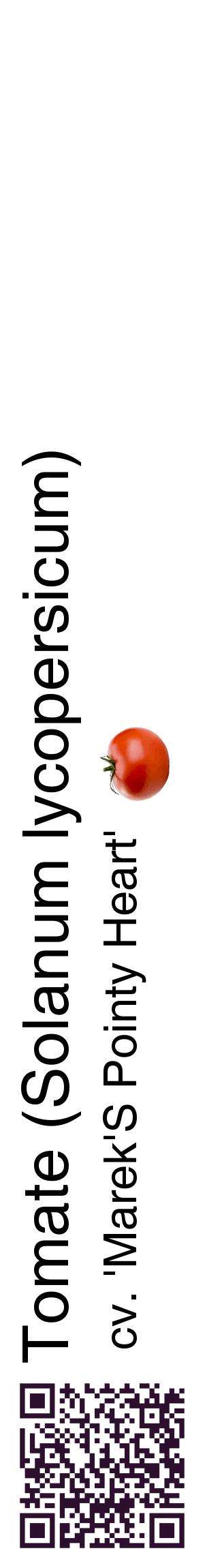 Étiquette de : Solanum lycopersicum cv. 'Marek'S Pointy Heart' - format c - style noire60_basiquehel avec qrcode et comestibilité simplifiée