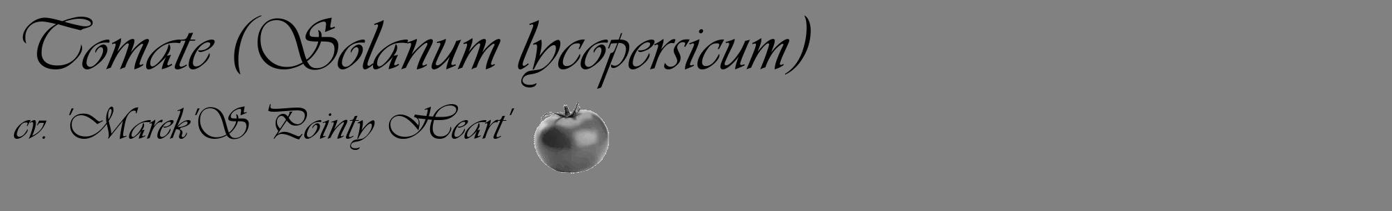 Étiquette de : Solanum lycopersicum cv. 'Marek'S Pointy Heart' - format c - style noire50_basique_basiqueviv avec comestibilité simplifiée