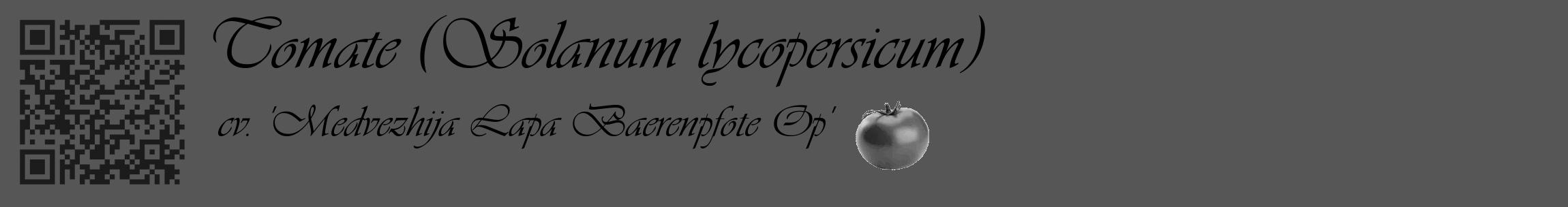 Étiquette de : Solanum lycopersicum cv. 'Medvezhija Lapa Baerenpfote Op' - format c - style noire45basique_basique_basiqueviv avec qrcode et comestibilité simplifiée