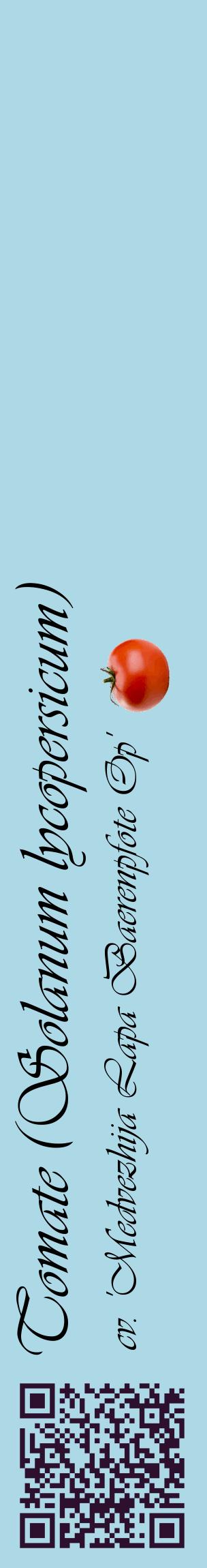 Étiquette de : Solanum lycopersicum cv. 'Medvezhija Lapa Baerenpfote Op' - format c - style noire0_basiqueviv avec qrcode et comestibilité simplifiée
