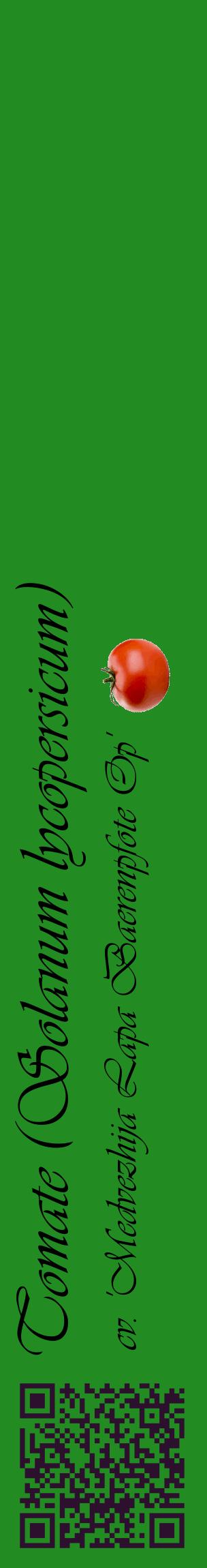 Étiquette de : Solanum lycopersicum cv. 'Medvezhija Lapa Baerenpfote Op' - format c - style noire10_basiqueviv avec qrcode et comestibilité simplifiée