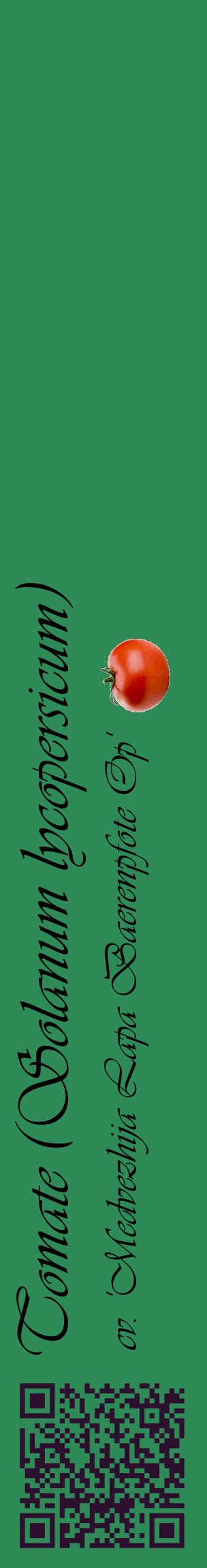 Étiquette de : Solanum lycopersicum cv. 'Medvezhija Lapa Baerenpfote Op' - format c - style noire11_basiqueviv avec qrcode et comestibilité simplifiée