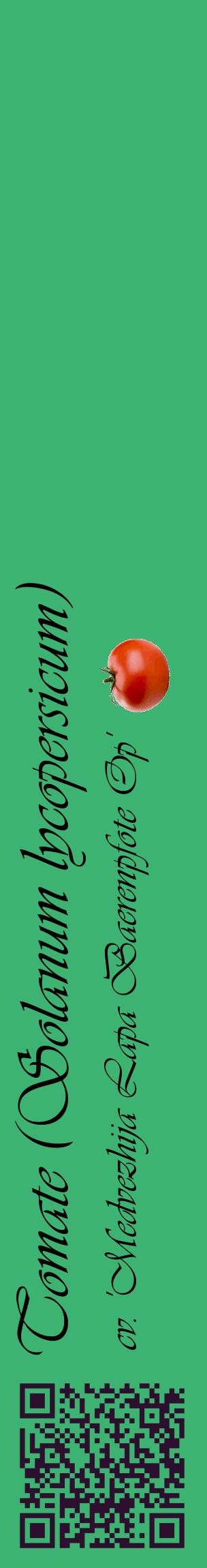 Étiquette de : Solanum lycopersicum cv. 'Medvezhija Lapa Baerenpfote Op' - format c - style noire12_basiqueviv avec qrcode et comestibilité simplifiée