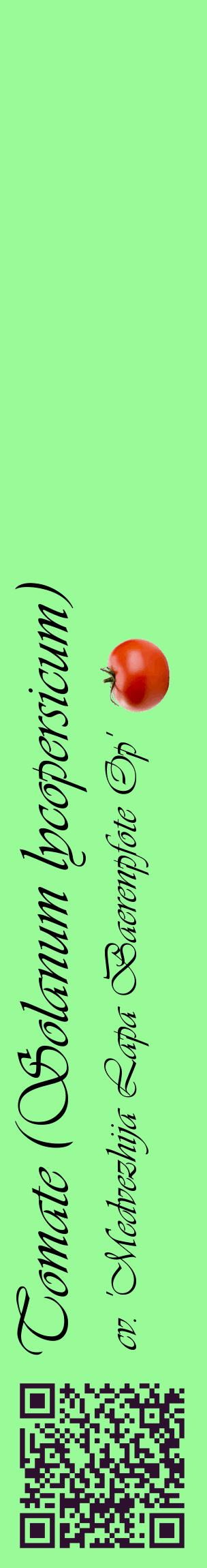 Étiquette de : Solanum lycopersicum cv. 'Medvezhija Lapa Baerenpfote Op' - format c - style noire14_basiqueviv avec qrcode et comestibilité simplifiée