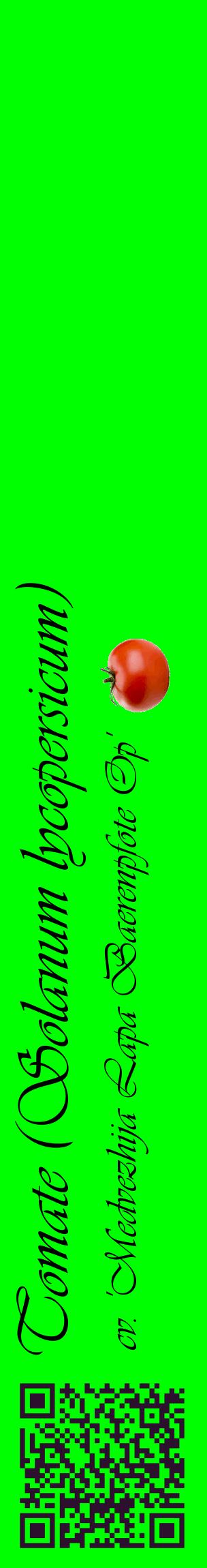 Étiquette de : Solanum lycopersicum cv. 'Medvezhija Lapa Baerenpfote Op' - format c - style noire16_basiqueviv avec qrcode et comestibilité simplifiée