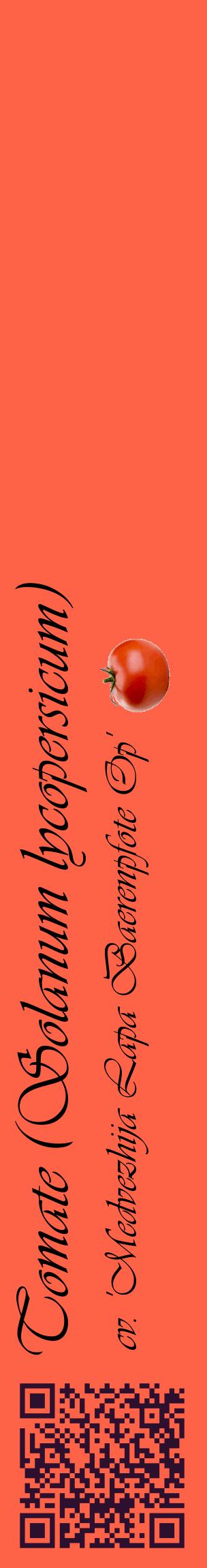 Étiquette de : Solanum lycopersicum cv. 'Medvezhija Lapa Baerenpfote Op' - format c - style noire25_basiqueviv avec qrcode et comestibilité simplifiée