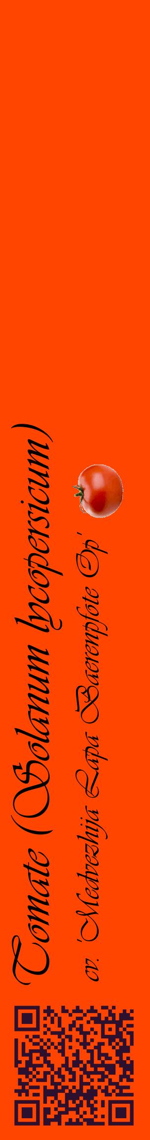 Étiquette de : Solanum lycopersicum cv. 'Medvezhija Lapa Baerenpfote Op' - format c - style noire26_basiqueviv avec qrcode et comestibilité simplifiée