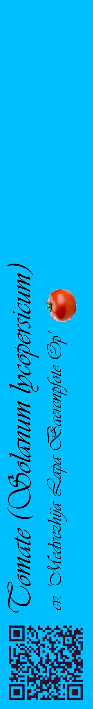 Étiquette de : Solanum lycopersicum cv. 'Medvezhija Lapa Baerenpfote Op' - format c - style noire2_basiqueviv avec qrcode et comestibilité simplifiée